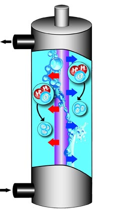 Bio Xyde Complex 3 