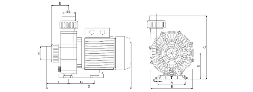 Dimensioni Pompa idromassaggio Breton 1100A