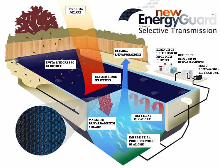 Schema della New Energy Guard