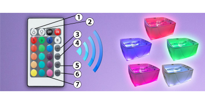 Telecomando della spa